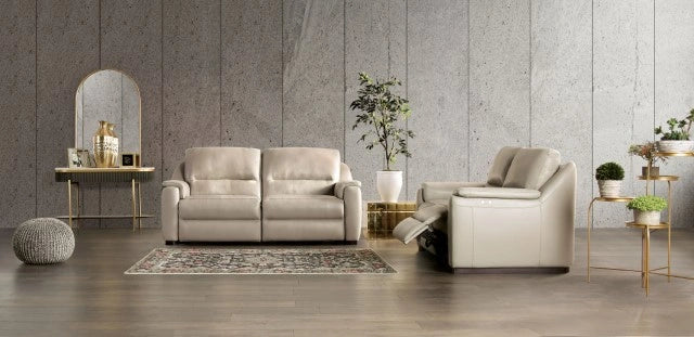 ALTAMURA Power Loveseat, Gray & Beige