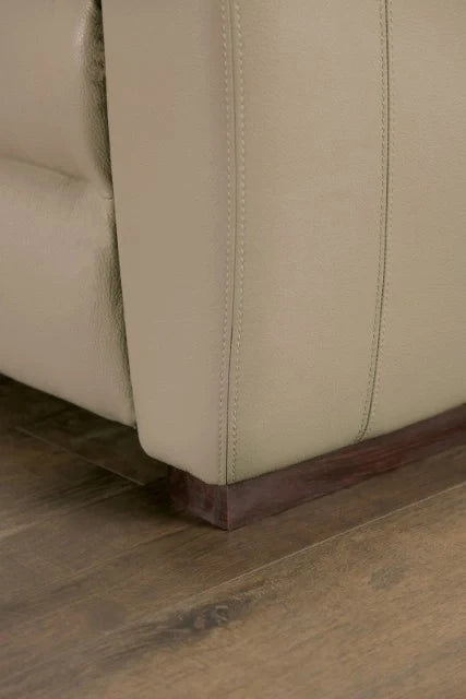 ALTAMURA Power Loveseat, Gray & Beige