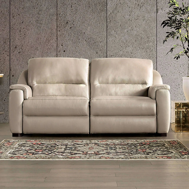 ALTAMURA Power Loveseat, Gray & Beige