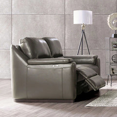 ALTAMURA Power Loveseat, Gray & Beige